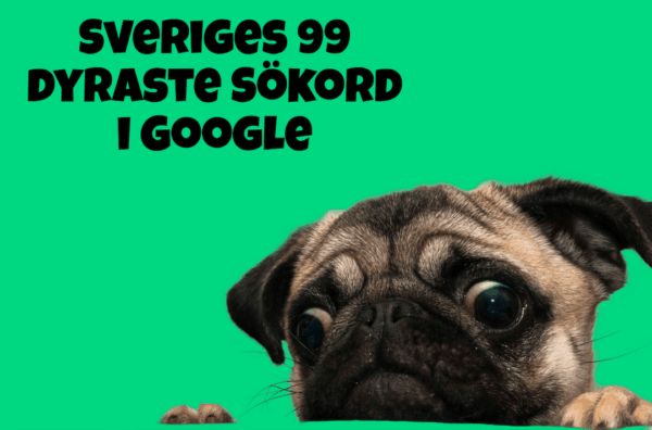 Sveriges 100 dyreste søkeord i Google 2024