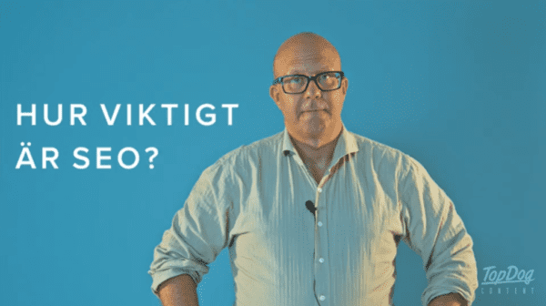 Hvor viktig er SEO 2024?