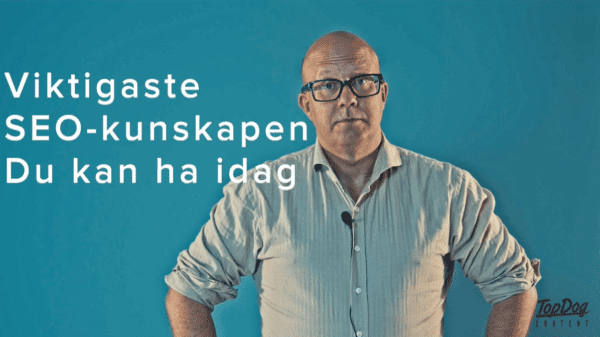 Den essensielle SEO-kunnskapen 2024